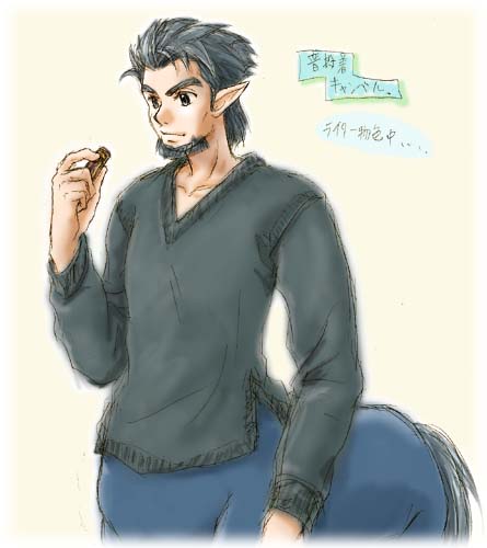 ���i���L�����x���B<39KB>